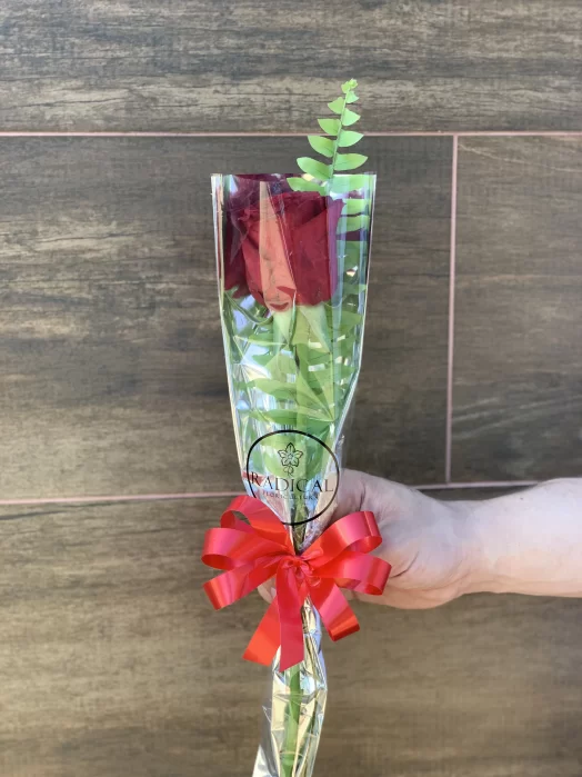 Uma Rosa no Cartucho